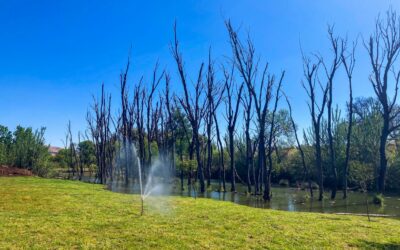 Hassle Free Farm Life In The Heart Of The Cradle Of Humankind