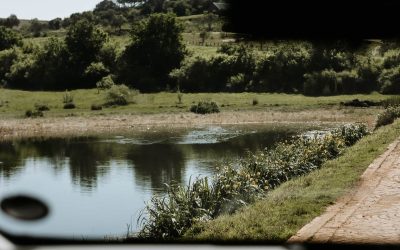 The New Way To Live: Smart Farm-Estate Homes At Teak Place