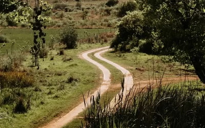 What Modern Off Grid And Eco Estate Living Really Offers In South Africa