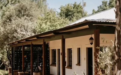 Regenerative living: what this means and how we do it at teak